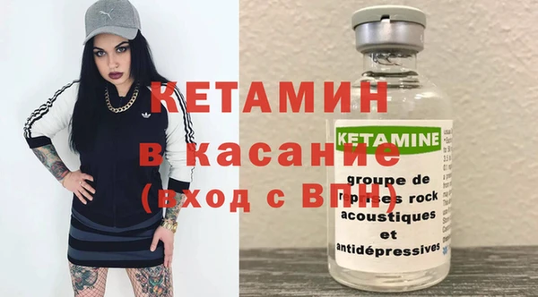 шишки Фёдоровский