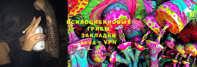 мега сайт  где найти   Нахабино  Псилоцибиновые грибы Cubensis 